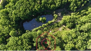 terrain boise  foret à la vente -   41600  NOUAN LE FUZELIER, surface 0 m2 vente terrain boise  foret - NAO8149937